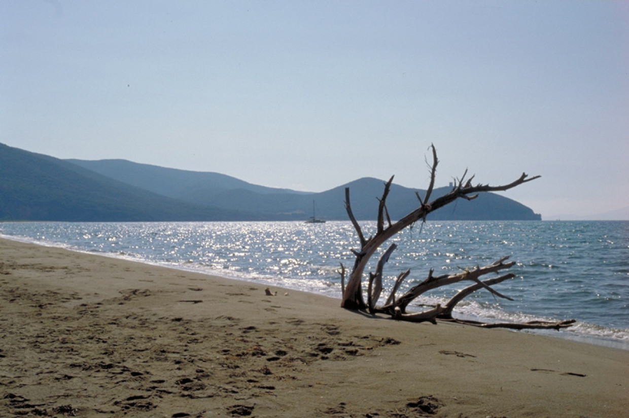 Le Spiagge